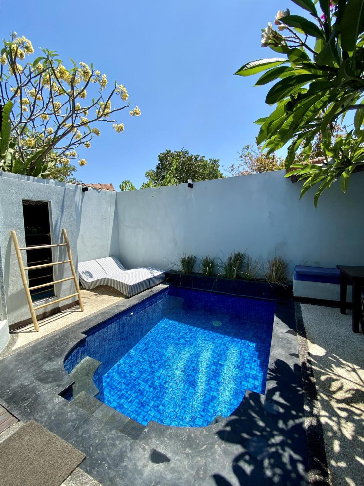Stay Shark Villas גילי אייר מראה חיצוני תמונה